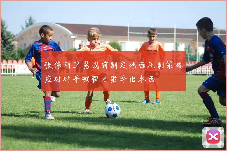 张伟丽卫冕战前制定地面压制策略应对对手破解方案浮出水面